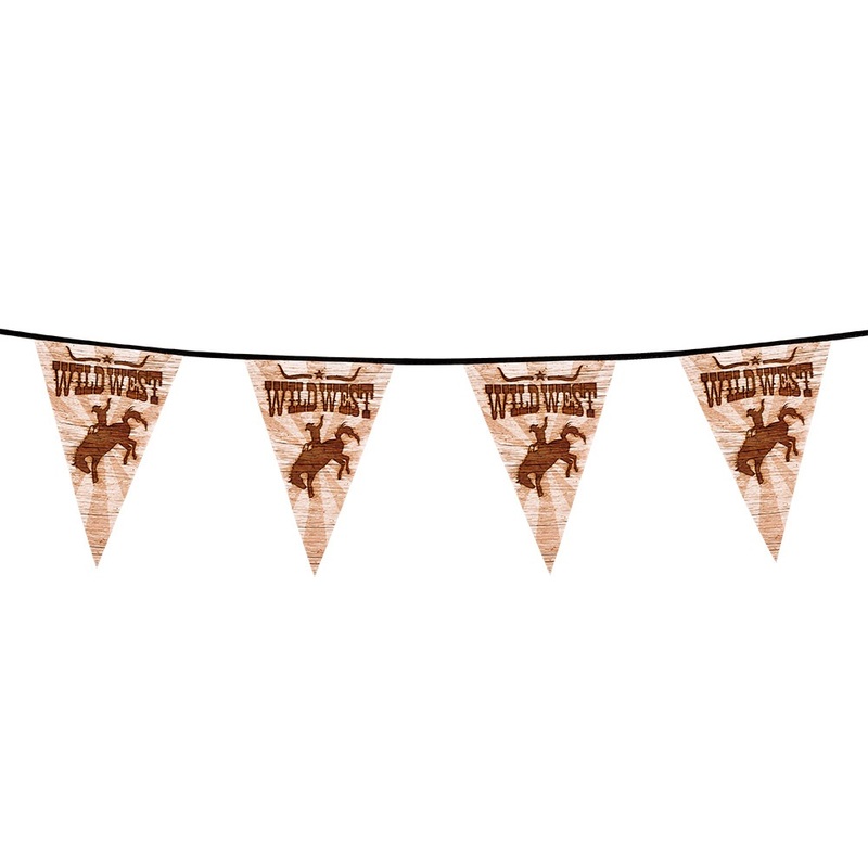 Wild West bunting 6 m
