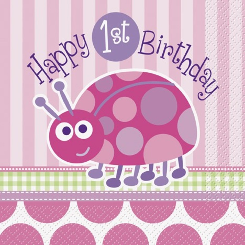 16 Ladybug Melodys birthday party napkins 33cm