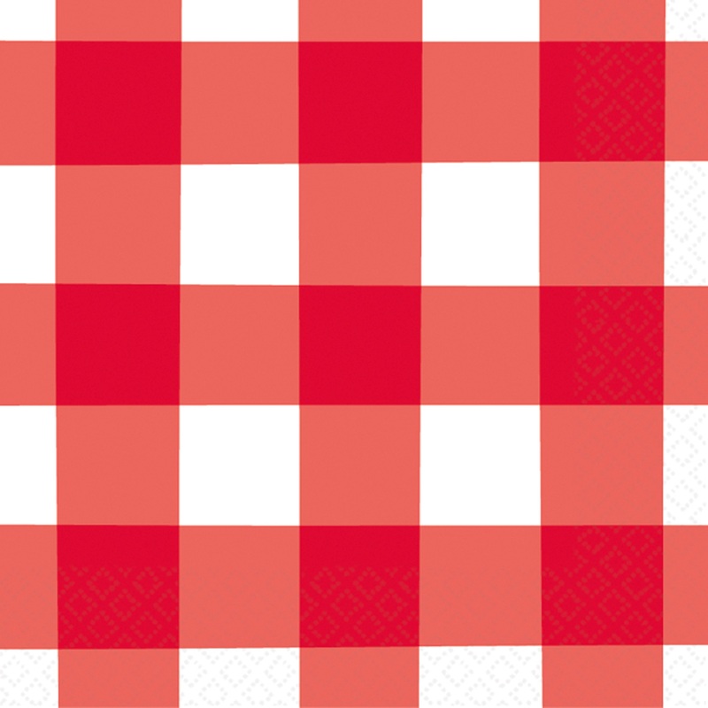 16 picnic party napkins 25cm