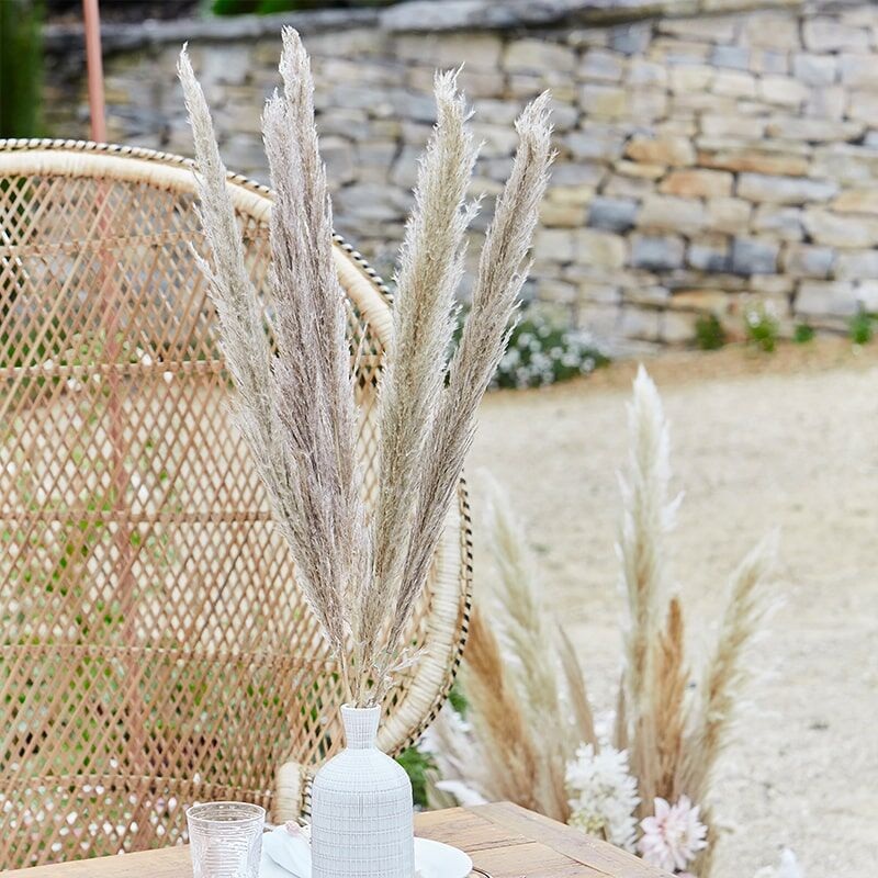 5 Country Wedding pampas grasses dark 90cm