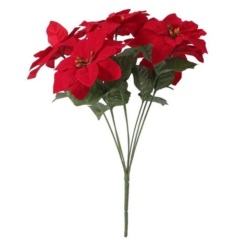 Small poinsettia bouquet