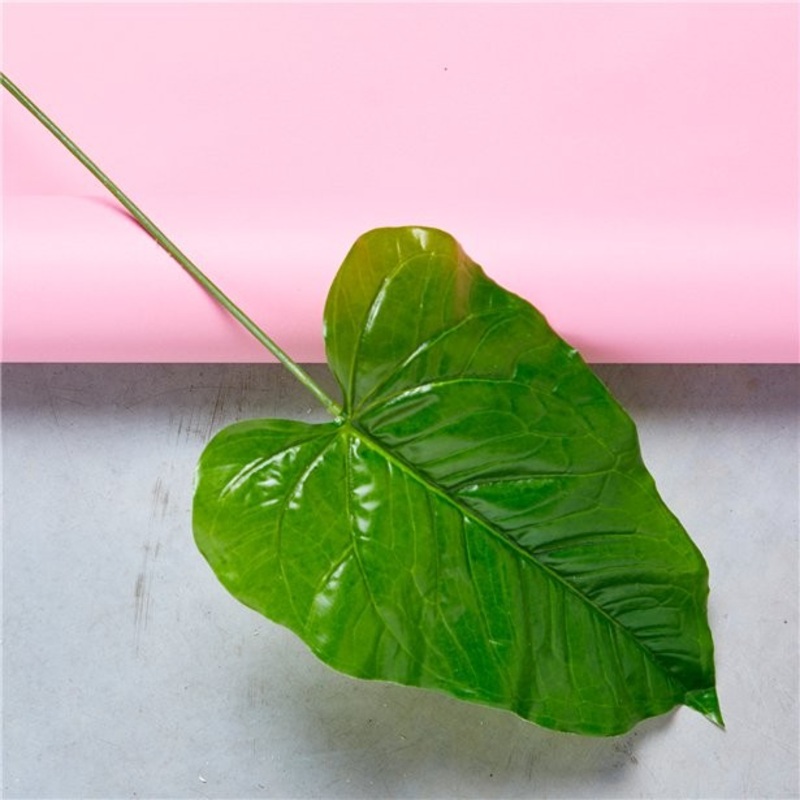 Tropical leaf flower decoration