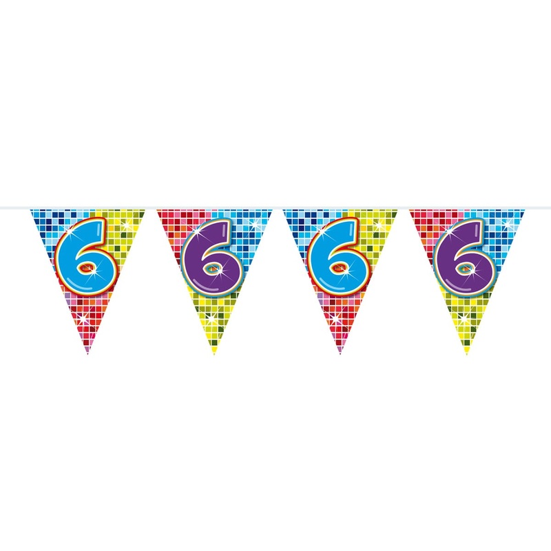 Groovy 6th Birthday pennant chain 6m