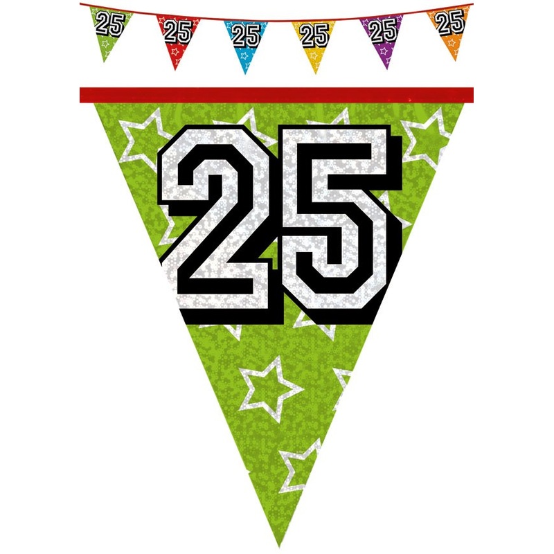 Holographic pennant chain 25 colorful 8m