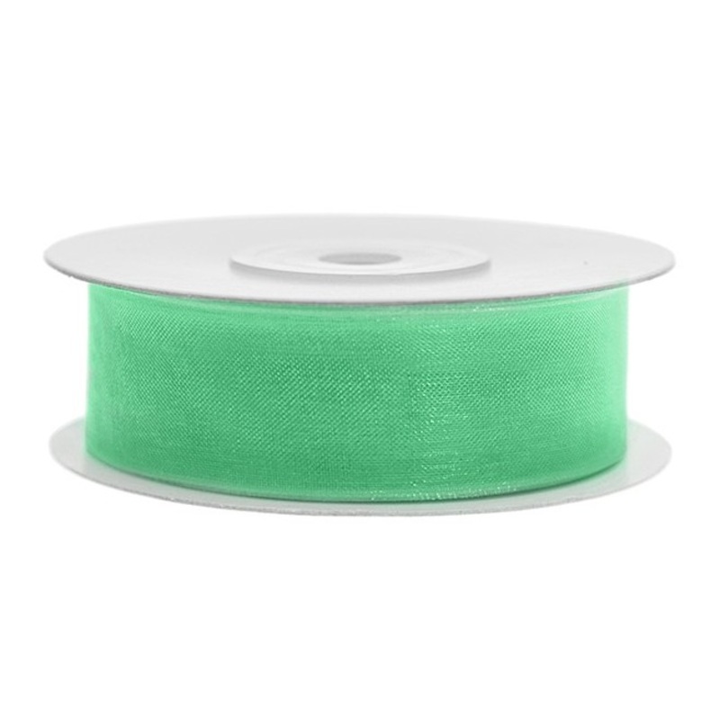 25m chiffon gift ribbon in mint