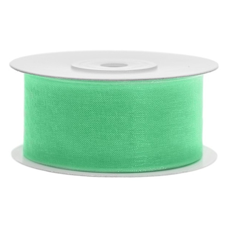 25m chiffon ribbon mint green