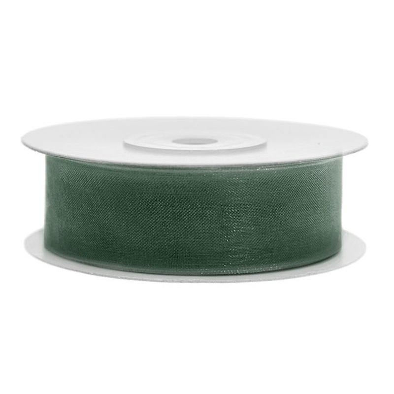 25m gift ribbon bottle green