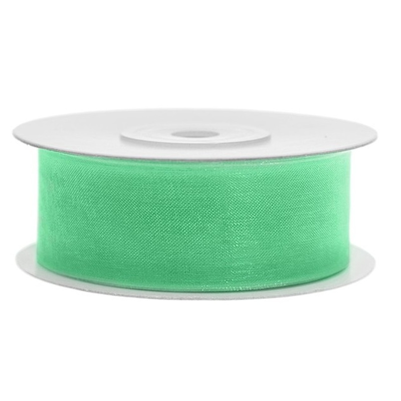 25m ribbon mint green, chiffon look