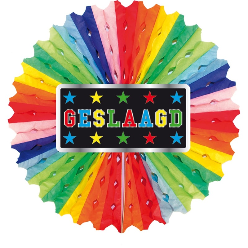 Geslaagd stars paper rosette