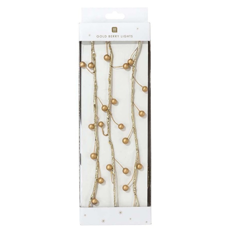 Golden berry fairy lights 2m