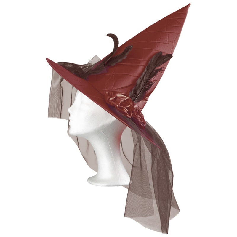 Witch hat with feathers brown