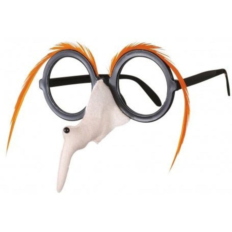 Halloween glasses witch nose with wart
