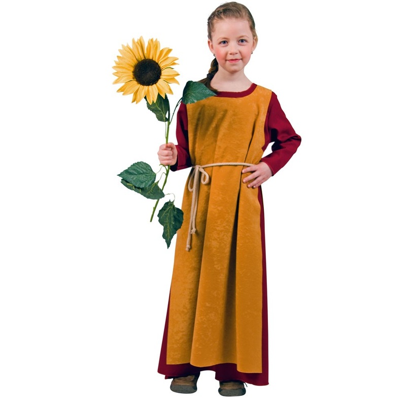 Mini maid medieval girl costume
