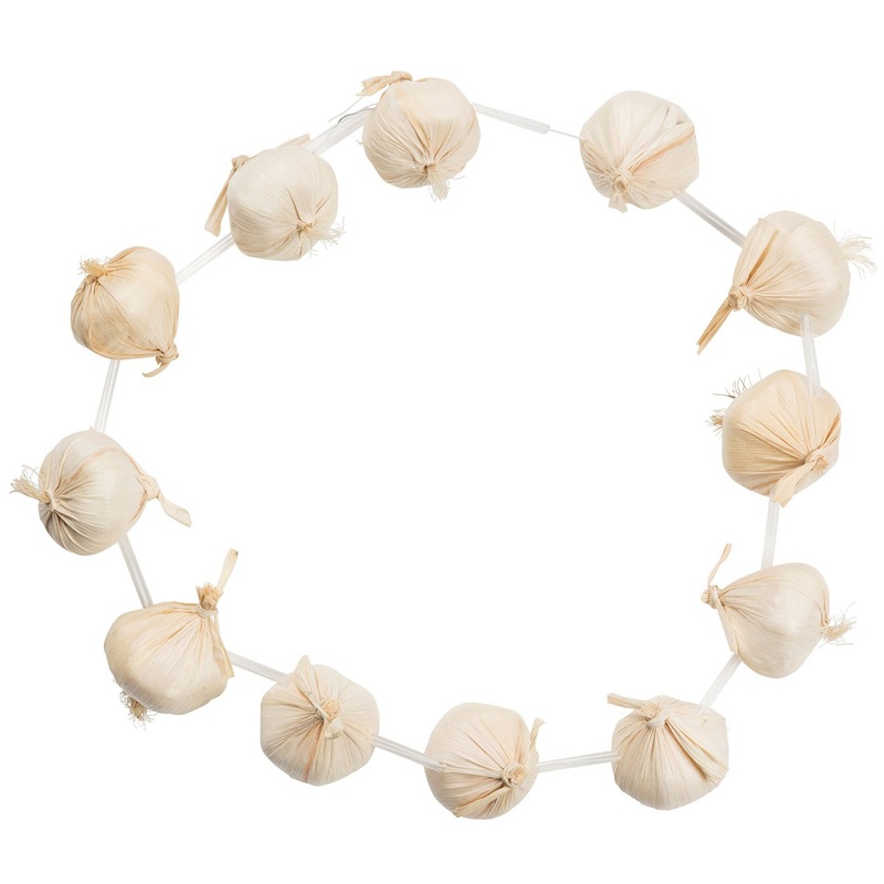 Vampire Defense Garlic Chain