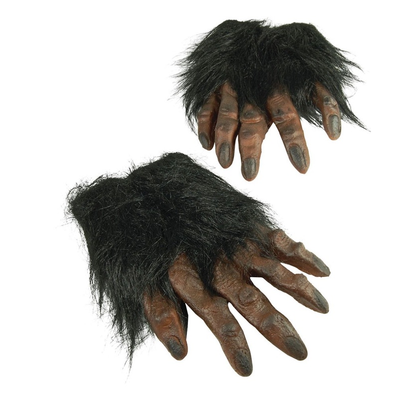 Hairy chimpanzee hands