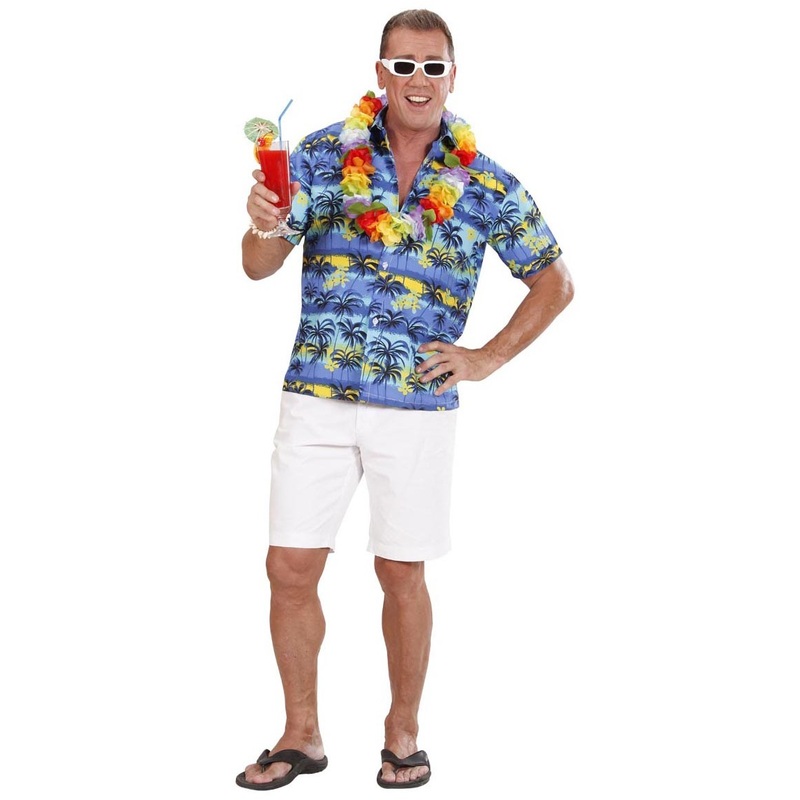 Hawaii shirt Maui for men M-L
