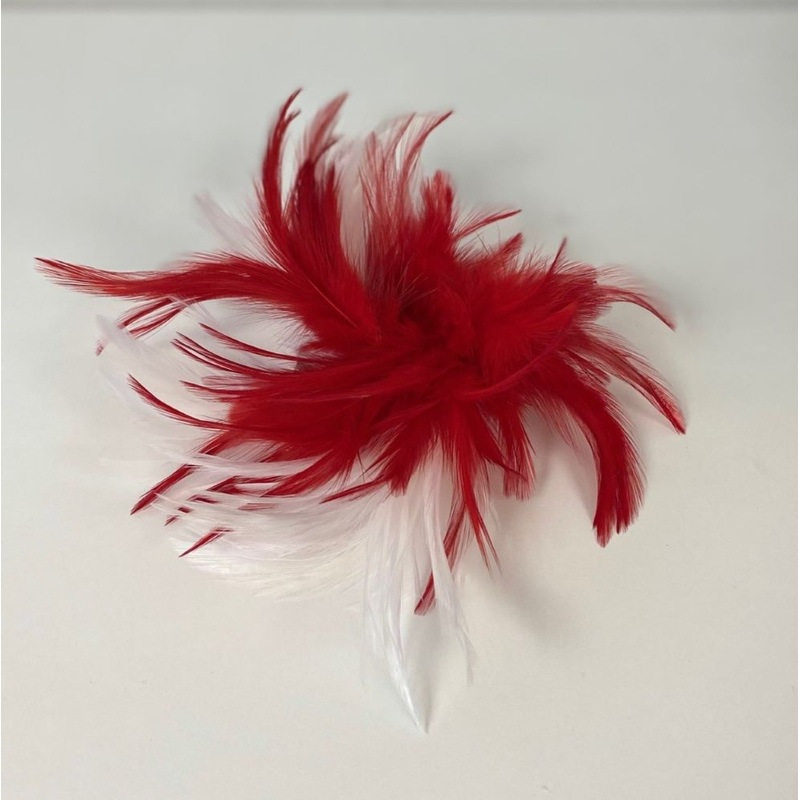 Hair clip with feathers in red and white