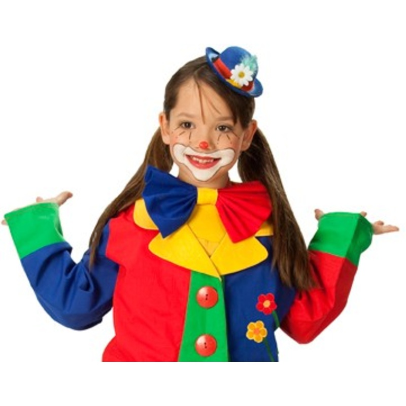 Colorful clown fly
