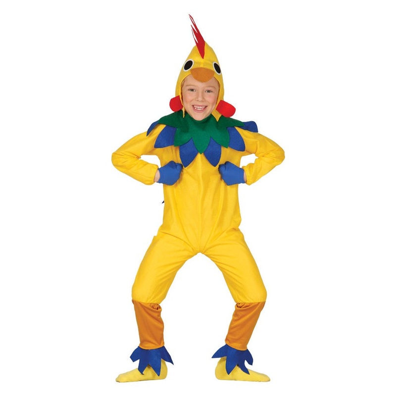 Crazy Chicken costume for kids