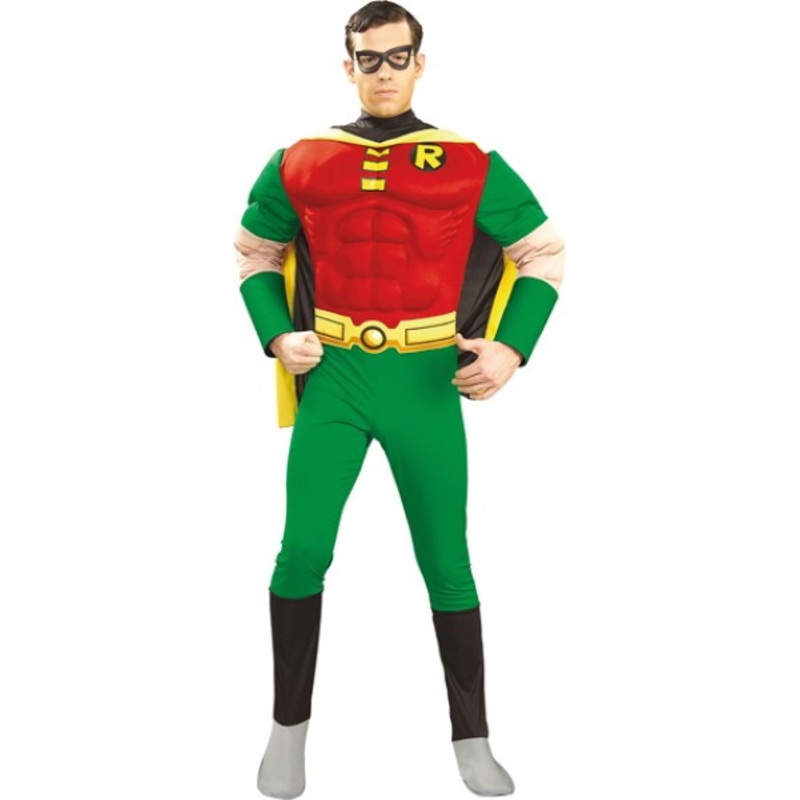 Robin from Batman men's costume S