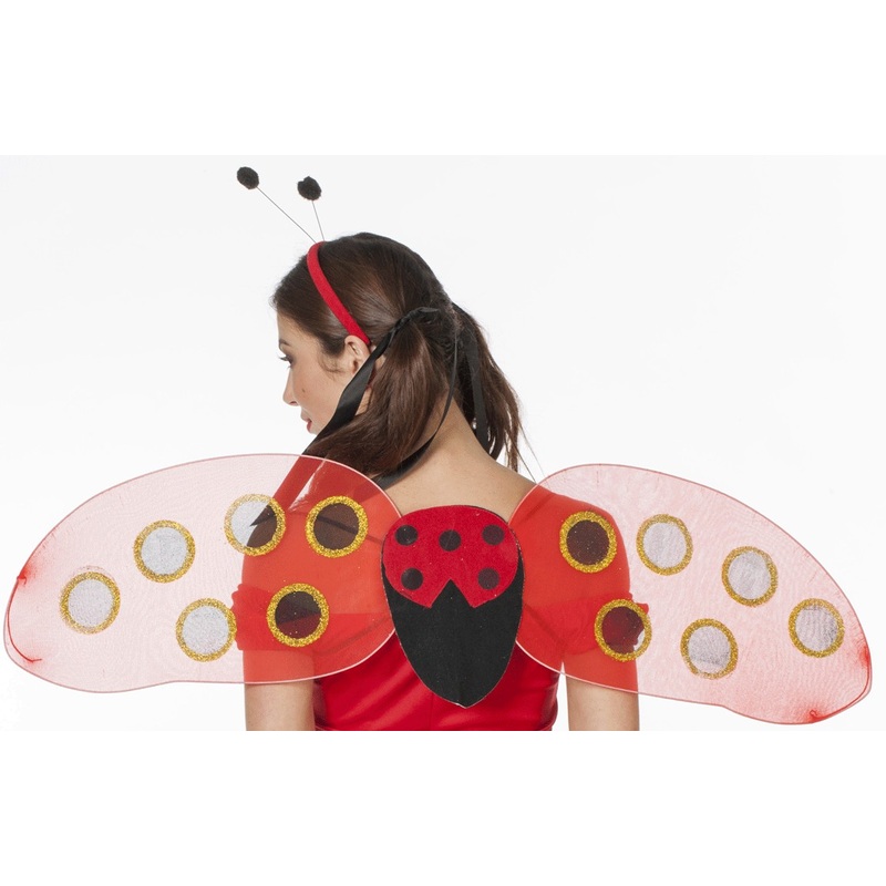 Ladybug set Samira