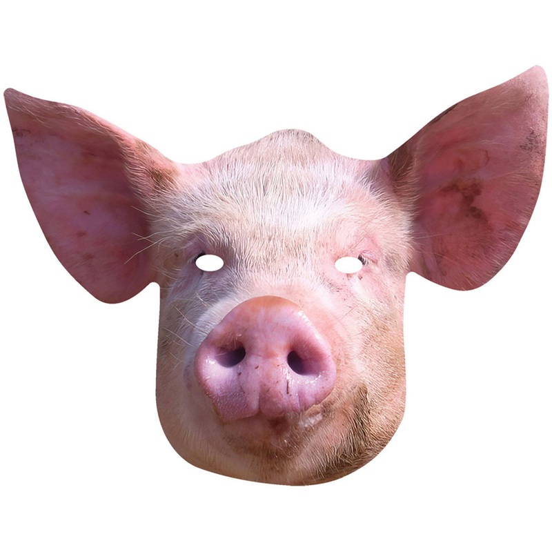 Pig mask made of cardboard
