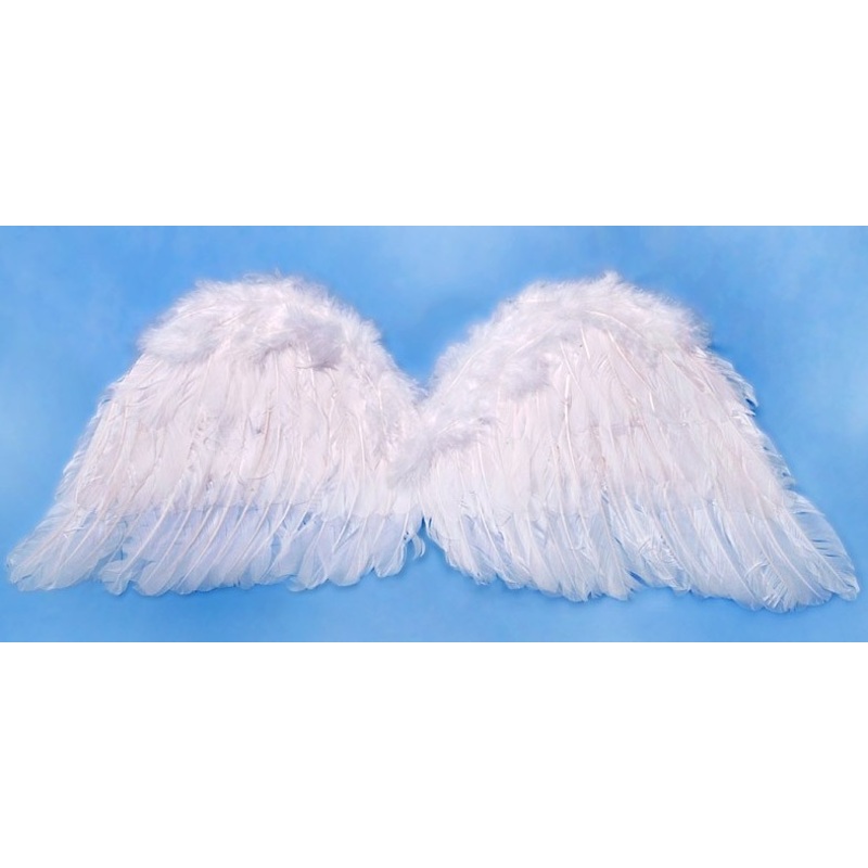 Archangel Gabriel wings 75x30cm