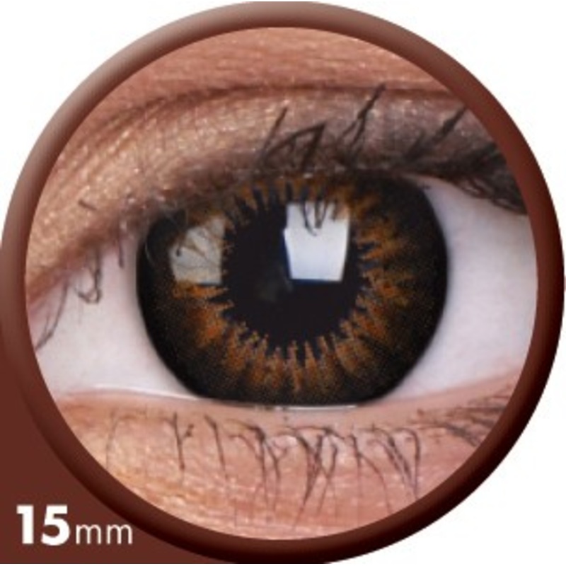 Contact lenses Petra Braun-Honig