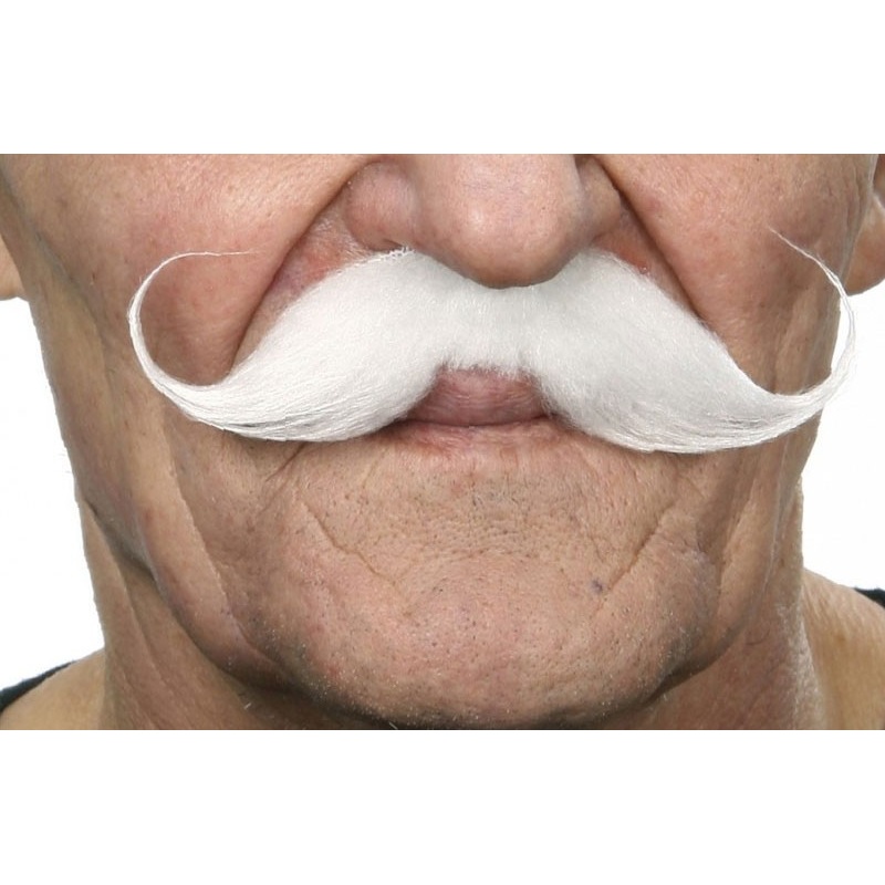 White nobleman mustache