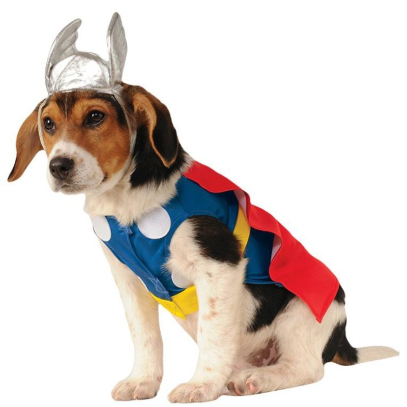 Thor Marvel dog costume S